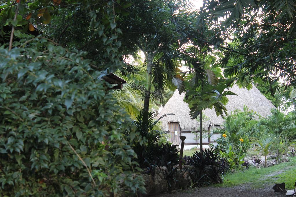 Hostal & Camping Magic * Bacalar